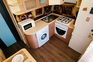 1-комнатная квартира Новгородская 137