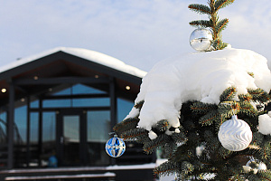 &quot;В Икше&quot; домик посуточно