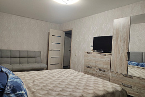 1-комнатная квартира Семенова 16 в Озерске 4