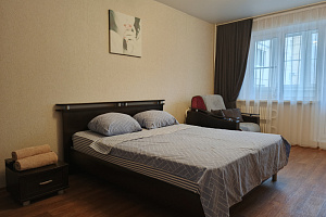 1-комнатная квартира Московский 100