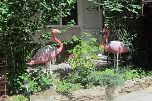 Отели Витязево у парка, "Розовый Фламинго" у парка - раннее бронирование