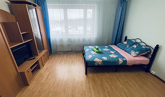1-комнатная квартира Дмитриева 4 в Балашихе - фото 4