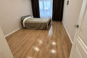 1-комнатная квартира Большая Московская 138к1