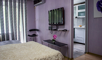 &quot;Уютная современная&quot; 1-комнатная квартира в Спасске-Дальнем - фото 4