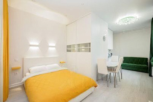 1-комнатная квартира Чистопольская 88 эт 3