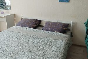 1-комнатная квартира Нехинская 34