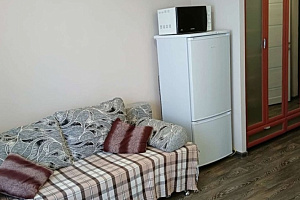 Гостиницы Тюмени с термальными источниками, "Уютная" 1-комнатная с термальными источниками - раннее бронирование