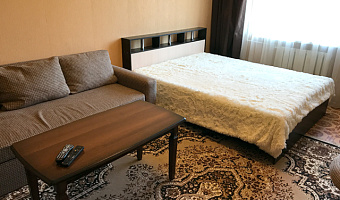 1-комнатная квартира Крайнего 4 кв 115 в Пятигорске - фото 4
