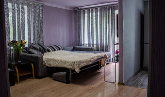 &quot;Уютная современная&quot; 1-комнатная квартира в Спасске-Дальнем - фото 5
