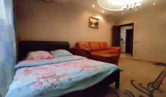 1-комнатная квартира Родионова 199 в Нижнем Новгороде - фото 2