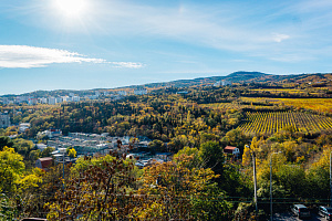 &quot;Дед Орло&quot; мини-гостиница в Ялте фото 5