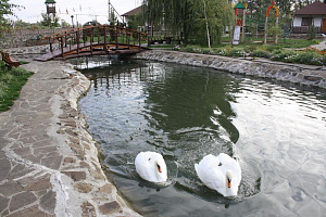 Базы отдыха Семикаракорска с бассейном, "Казачья Пристань" с бассейном - раннее бронирование