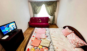 1-комнатная квартира Кабардинская 194 в Нальчике - фото 2