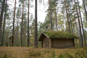 &quot;Лес&quot; эко-отель в п. Зеркальный (Выборг) фото 4