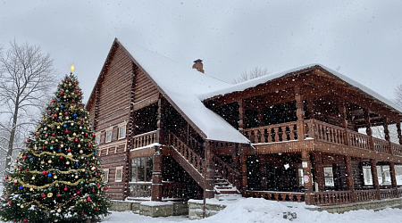 Экскурсии в Дагомысе на Новый год 2026