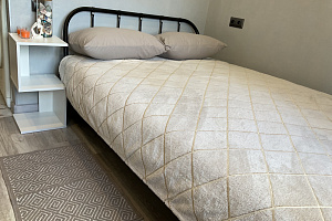 Квартира-студия Пушкина 108