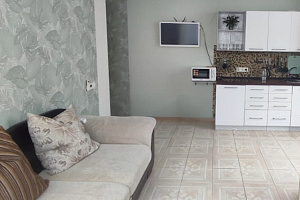 1-комнатная квартира Лысая Гора 27/19