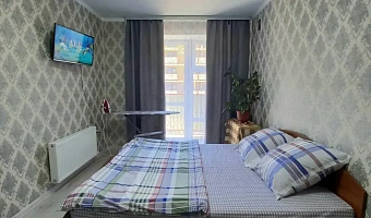 1-комнатная квартира Ишкова 99 в Михайловске - фото 2