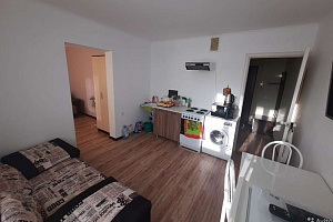 1-комнатная квартира Супсехское 26к9