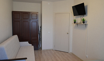1-комнатная квартира Балтийская 101 в Барнауле - фото 5