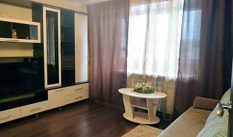 1-комнатная квартира Мечникова 2 в Микуне - фото 4