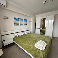 3х-комнатная квартира Урожайная 71/1к6