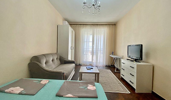 1-комнатная квартира Инал-ипа 5 в Сухуме - фото 5