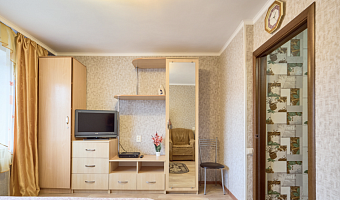 &quot;Светлая и Уютная&quot; 1-комнатная квартира в Кисловодске - фото 4