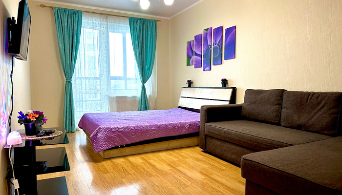 1-комнатная квартира Сибгата Хакима 44 в Казани - фото 1