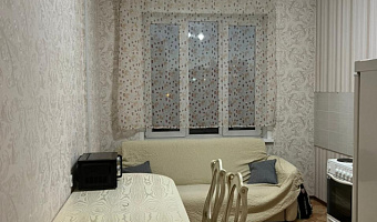 1-комнатная квартира Семьи Шамшиных 20 в Новосибирске - фото 5