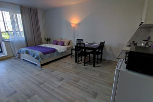 1-комнатная квартира 250-летия Челябинска 29