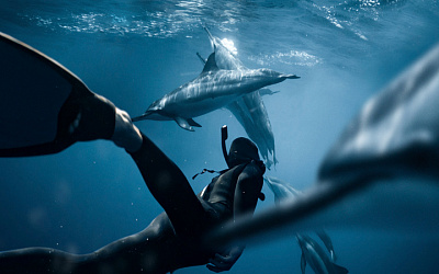 Активный отдых на воде в Анапе - серфинг, SUP, дайвинг