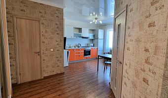 1-комнатная квартира Дзержинского 234 в Новороссийске - фото 4