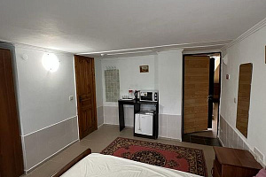 1-комнатный номер в санатории &quot;Фея-2&quot; Пионерский проспект 105/а в Джемете фото 3