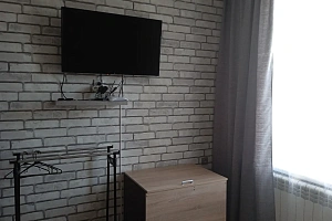 1-комнатная квартира Революции 4 в Павловске фото 5