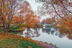 Белгородская область