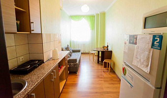 1-комнатная квартира Василия Гольцова 9 в Тюмени - фото 4