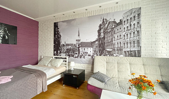 &quot;С Панорамным Видом&quot; 1-комнатная квартира в Калининграде - фото 4