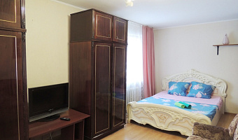 1-комнатная квартира Красной Армии 205 в Сергиевом Посаде - фото 4