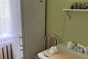 1-комнатная квартира Путешественника Козлова 18 в Петергофе фото 9