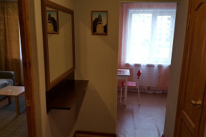 1-комнатная квартира Коммунальная 45 в Пскове фото 4