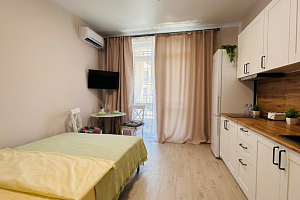 Квартира-студия Мирная 9к1 эт 3