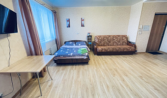 Квартира-студия Рощинская 9 в Ивантеевке - фото 4