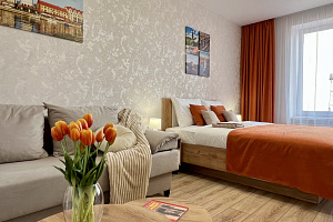 1-комнатная квартира Артиллерийская 56А