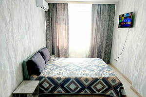 1-комнатная квартира Ростовская 67