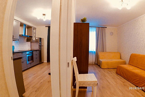 1-комнатная квартира Севастопольская 9 в Санкт-Петербурге 3