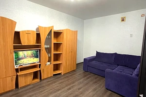 1-комнатная квартира Свердлова 34 в Железногорске фото 5