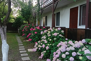 "Камелия" гостевой дом, Гостевые дома Абхазии - отзывы, отзывы отдыхающих