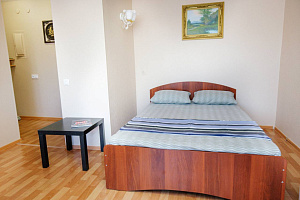 Мотели в Кемерове, 1-комнатная Дарвина 9 мотель - фото