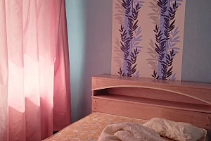Квартиры Кондопоги недорого, "Натуральный урбанизм" 2х-комнатная недорого - фото